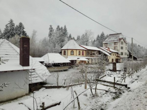 Ворота Карпат